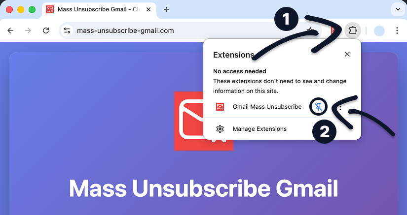 Pin the extension and click on it