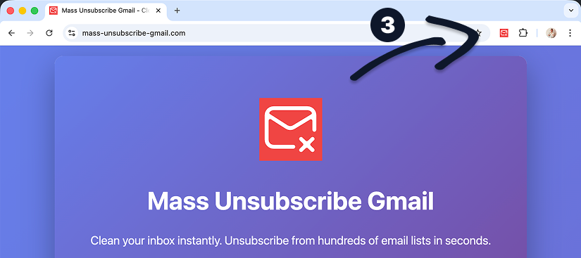 Click on the extension icon
